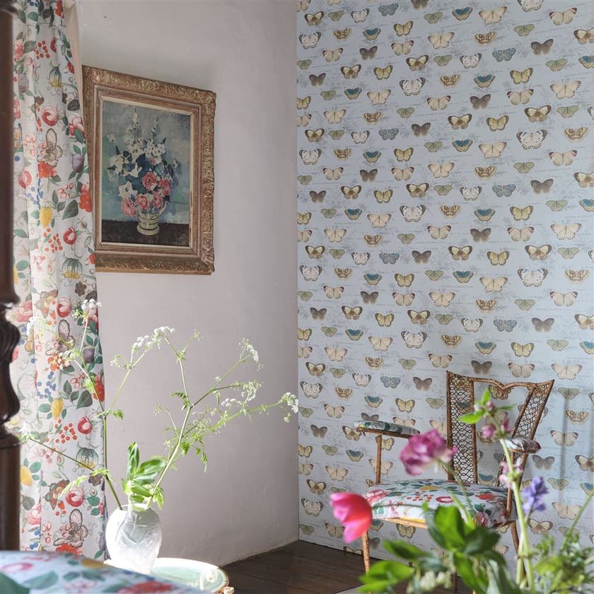 Butterfly Studies Picture Book Wallpapers I