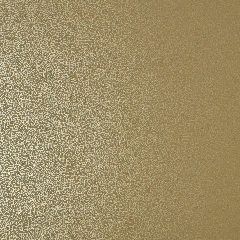 Carma - Emile NW Elodie