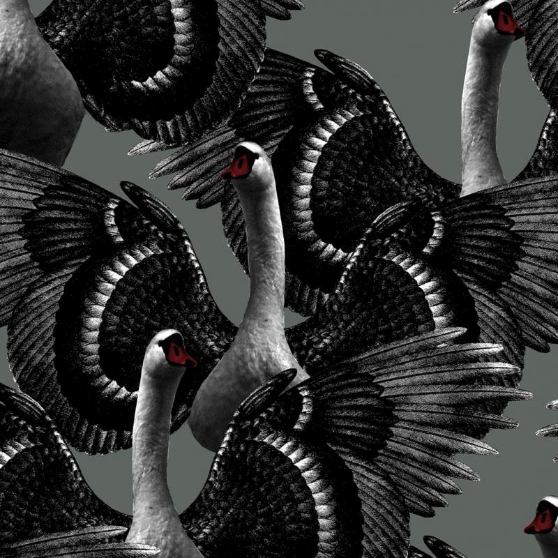 Swan Lake Green LB1175