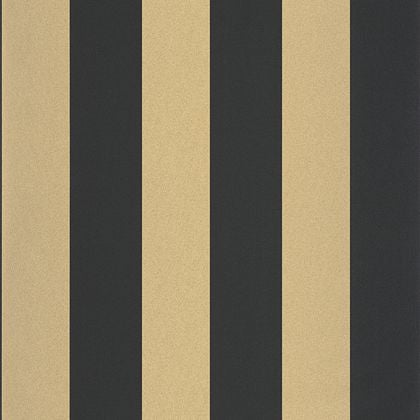 Caselio - Wide Lines Noir Doree Basics