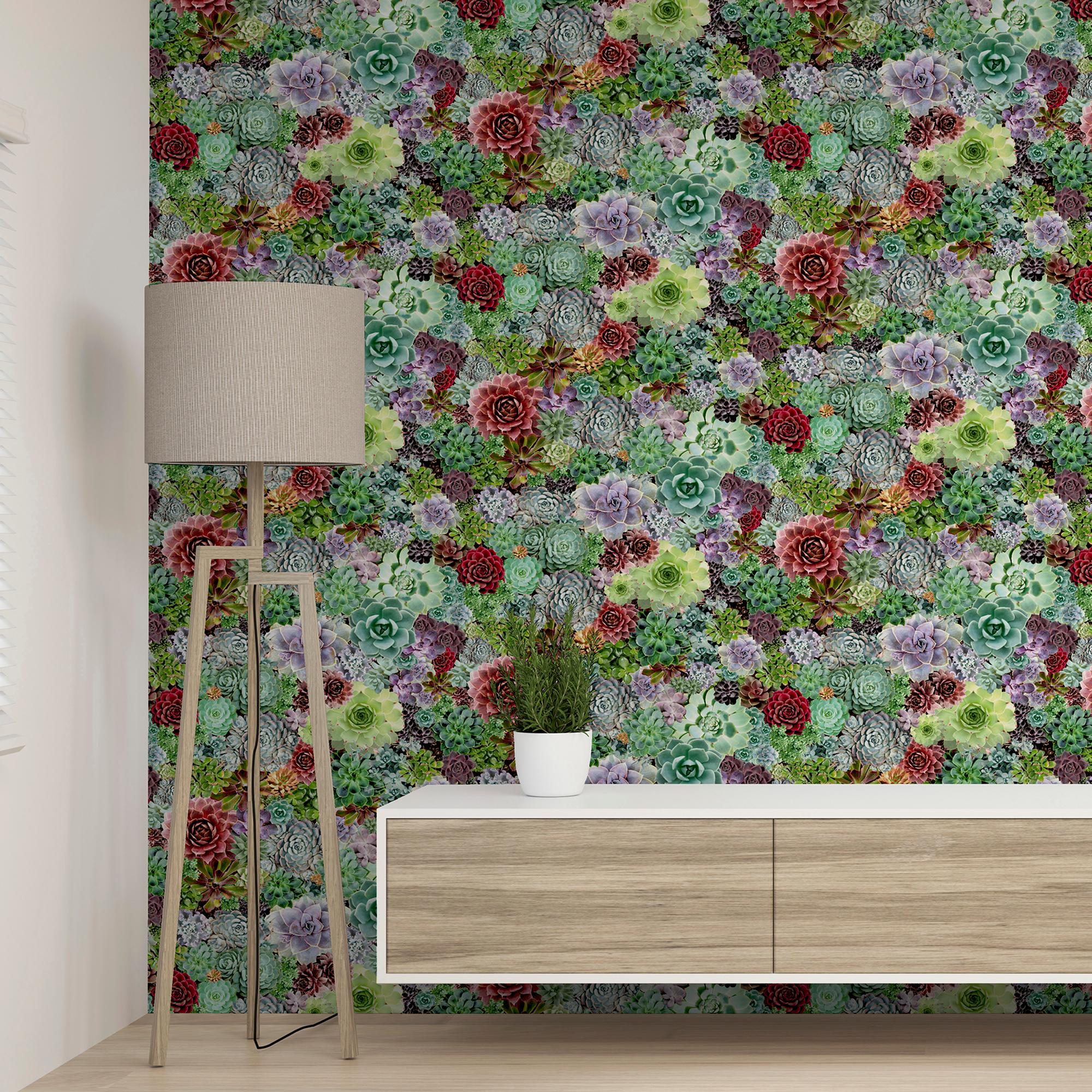 Succulent Living Wall Multi