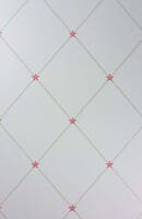 Nina Campbell - Torosay Coral/Ivory