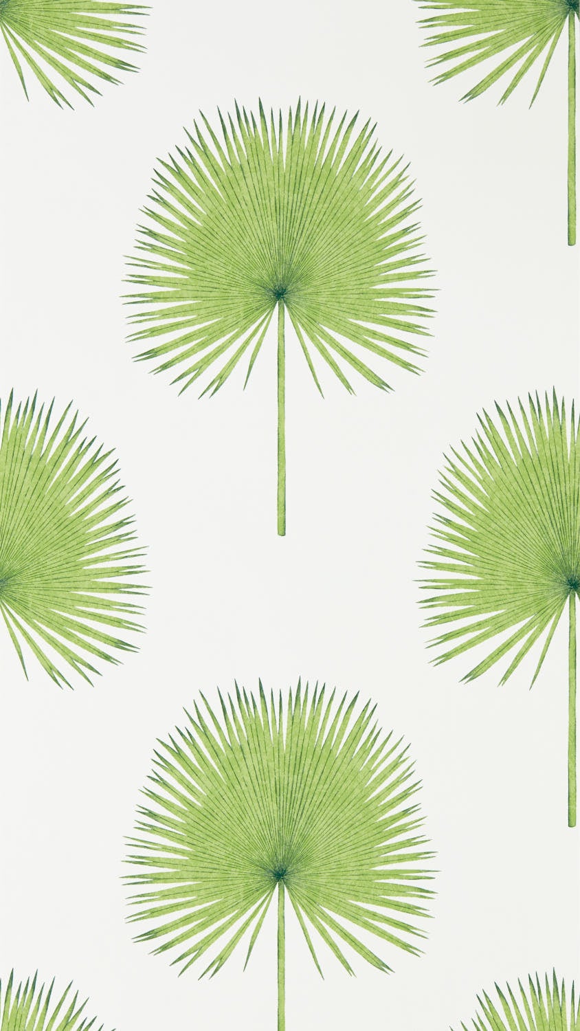 Sanderson - Fan Palm Botanical Green Glasshouse Wallpapers