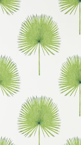 Sanderson - Fan Palm Botanical Green Glasshouse Wallpapers