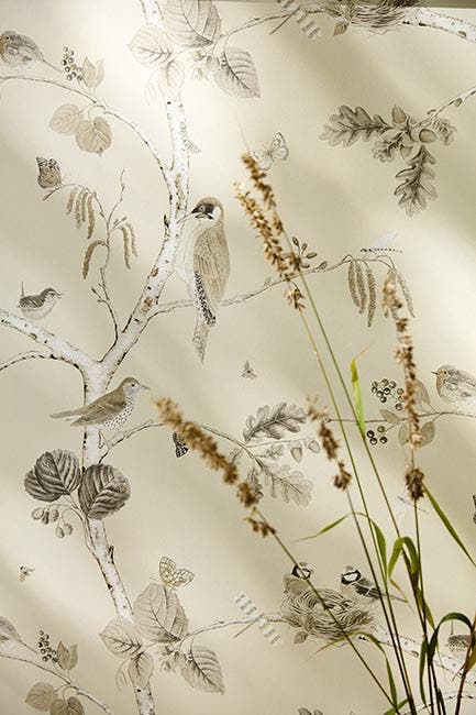 Woodland Chorus Sepia/Neu Country Woodland Wallcove