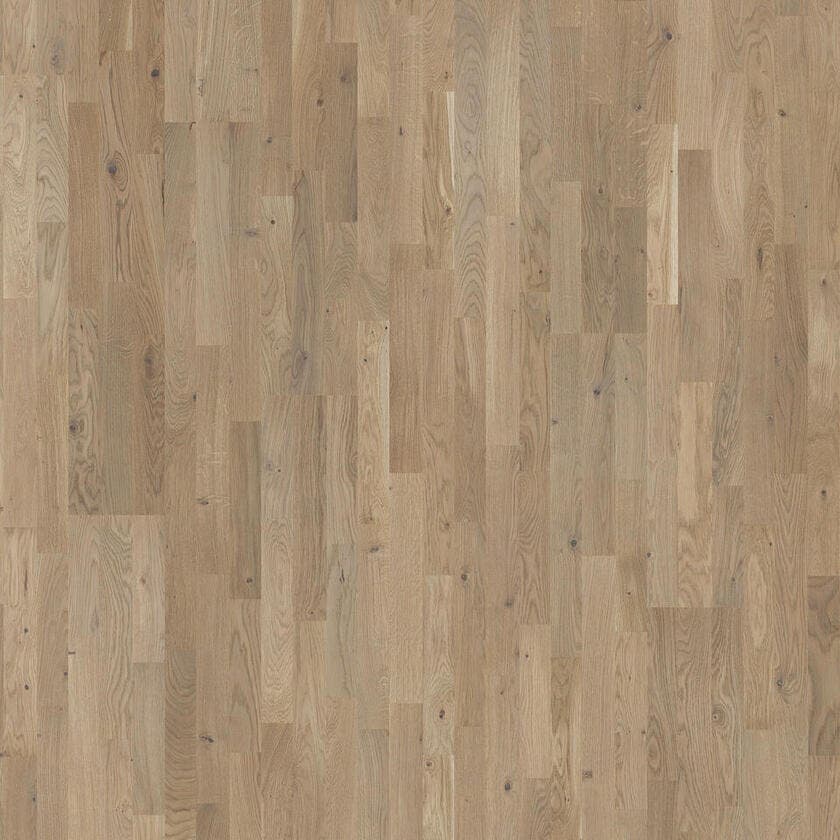 Shade | Ek Soft Beige Tres