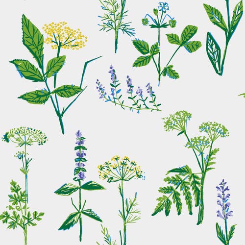 Boråstapeter - Lisbet Jobs Köksväxter