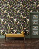 Michelia Empyrea Michelia Charocal