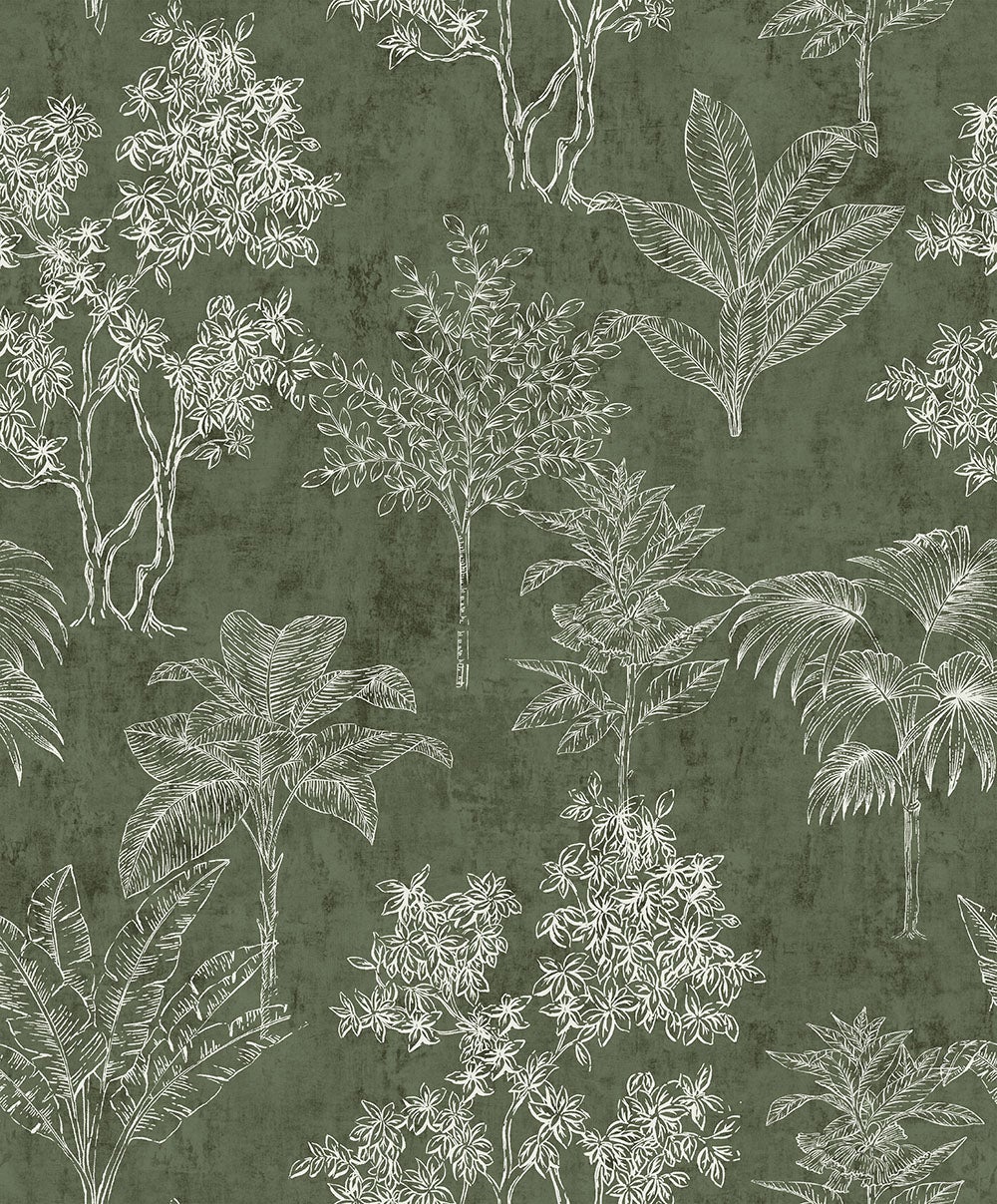 Fiona - Tropical Forest