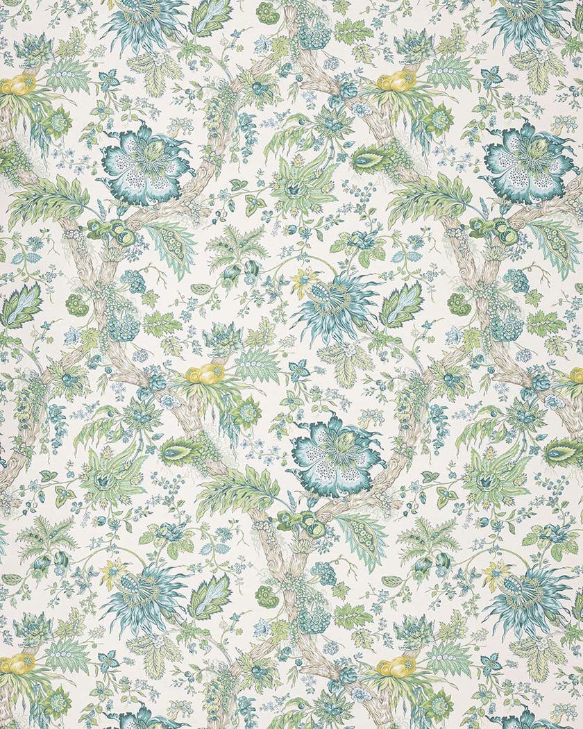 Manuel Canovas - Adelaide WC Celadon