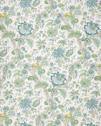 Manuel Canovas - Adelaide WC Celadon