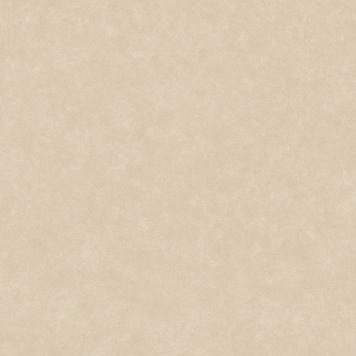Caselio - Uni Mat Beige Argile Ceramique