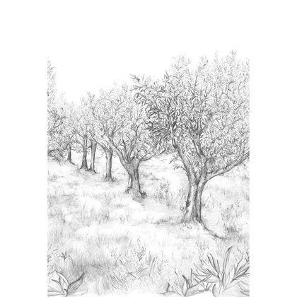 Casamance - Lauris Int Noir/Blanc Panoramas 2