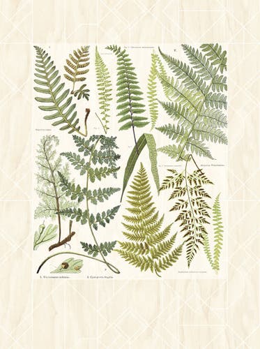 Eijffinger Intrade - Geonature