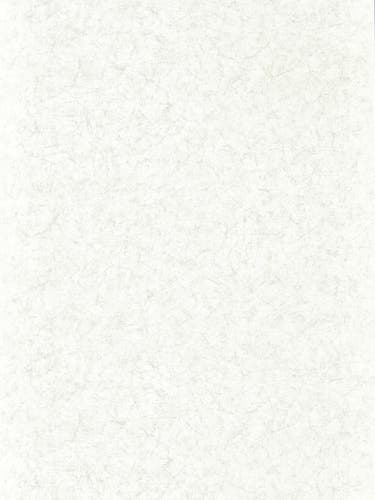 Zoffany - Ajanta Perfect White Folio