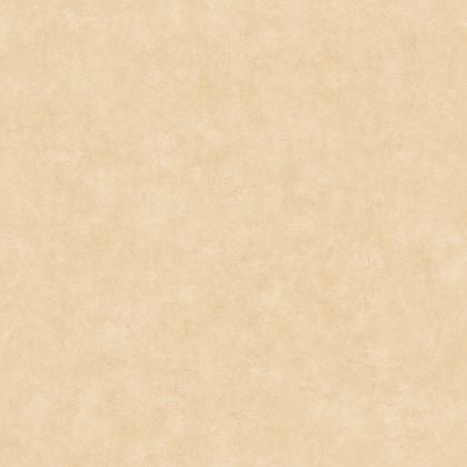 Caselio - Beton Uni Dune Beton 2