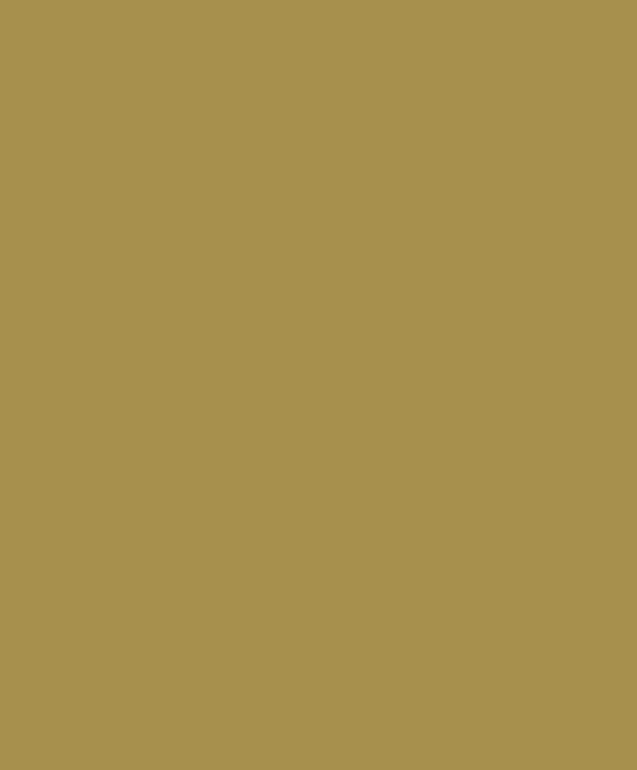 Casadeco - Pigments Olive Galons & Frises