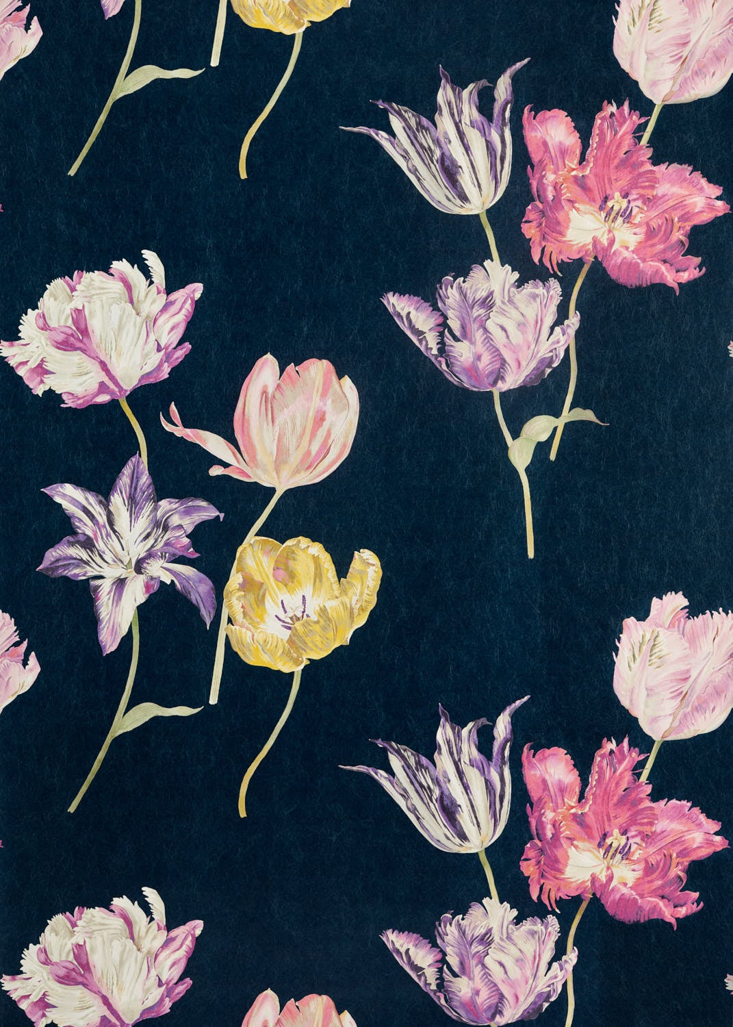 Sanderson - Tulipomania Tulipomania I Glasshouse Wallpapers