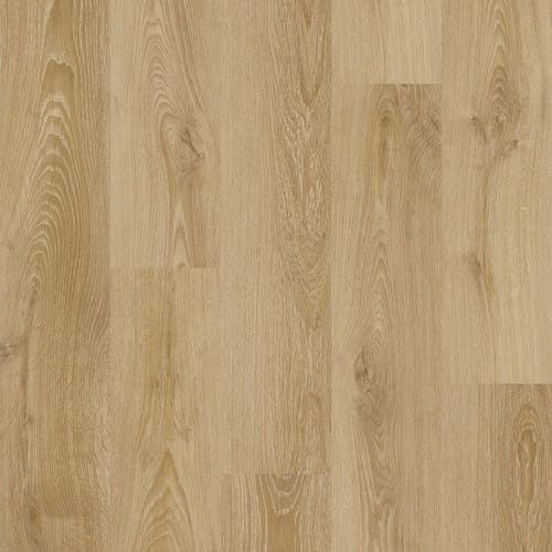 Bellagio | ProPlus 1200 Series