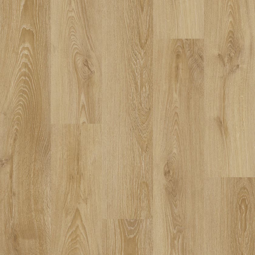 Bellagio | ProPlus 1200 Series