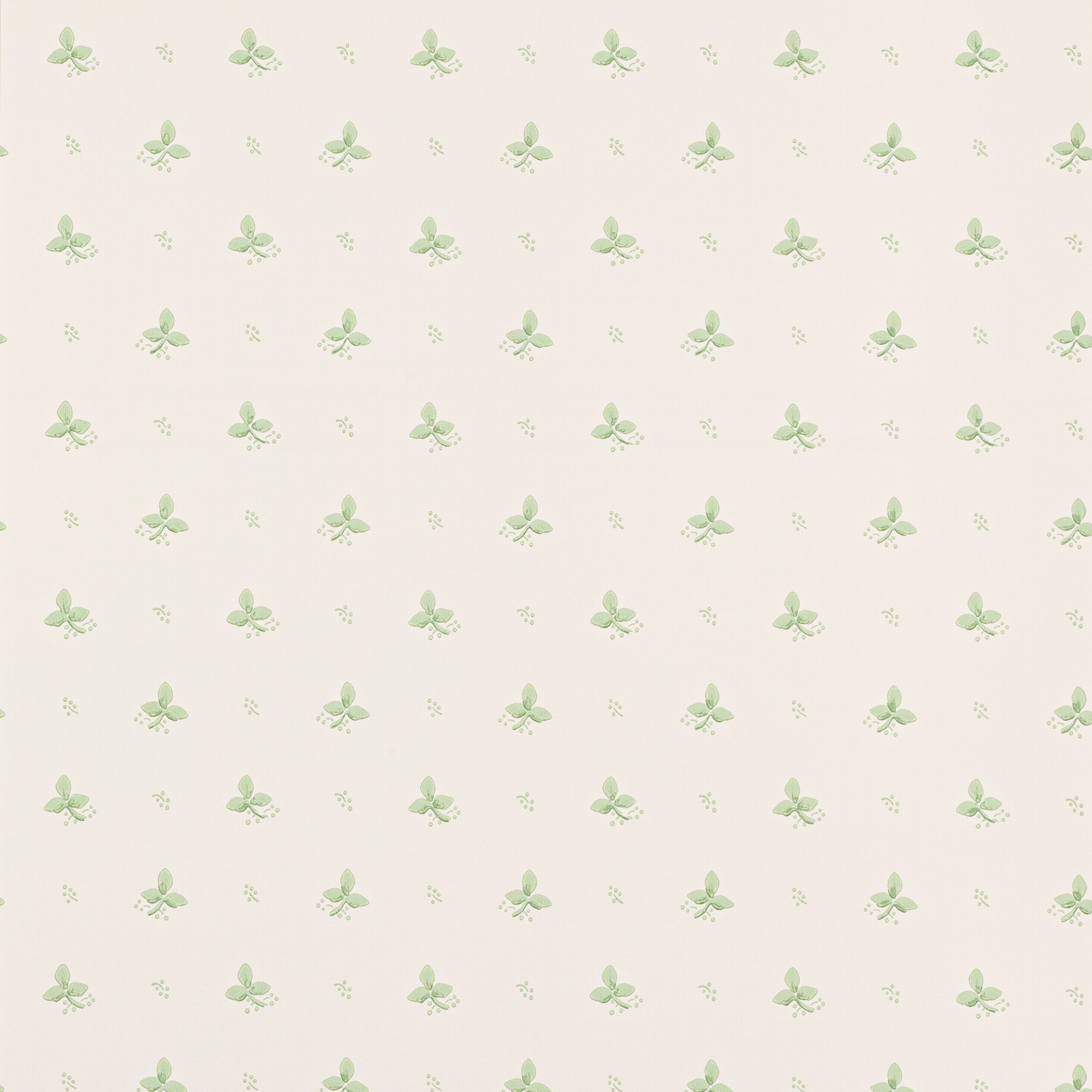 Colefax and Fowler - Ashling Green