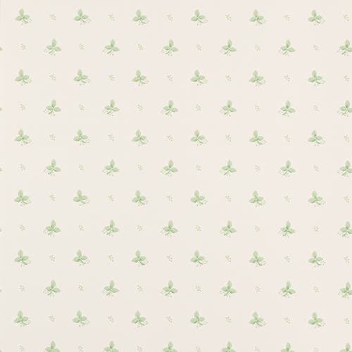 Colefax and Fowler - Ashling Green