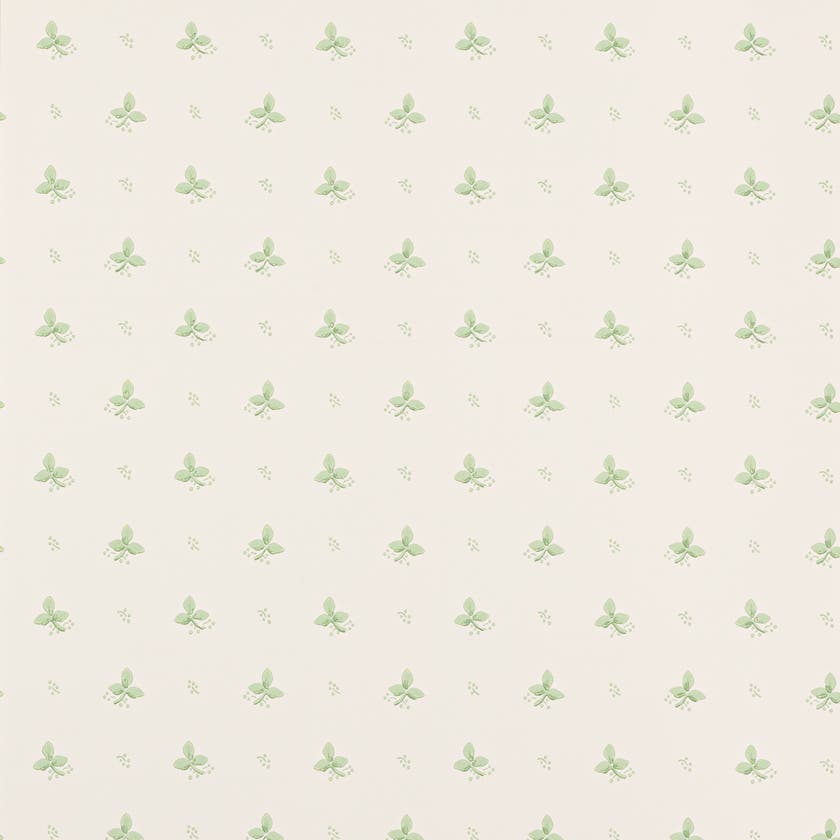 Colefax and Fowler - Ashling Green