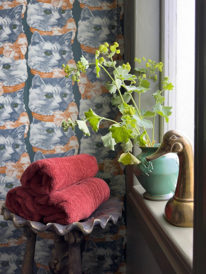 Crazy Cat Lady LB1702