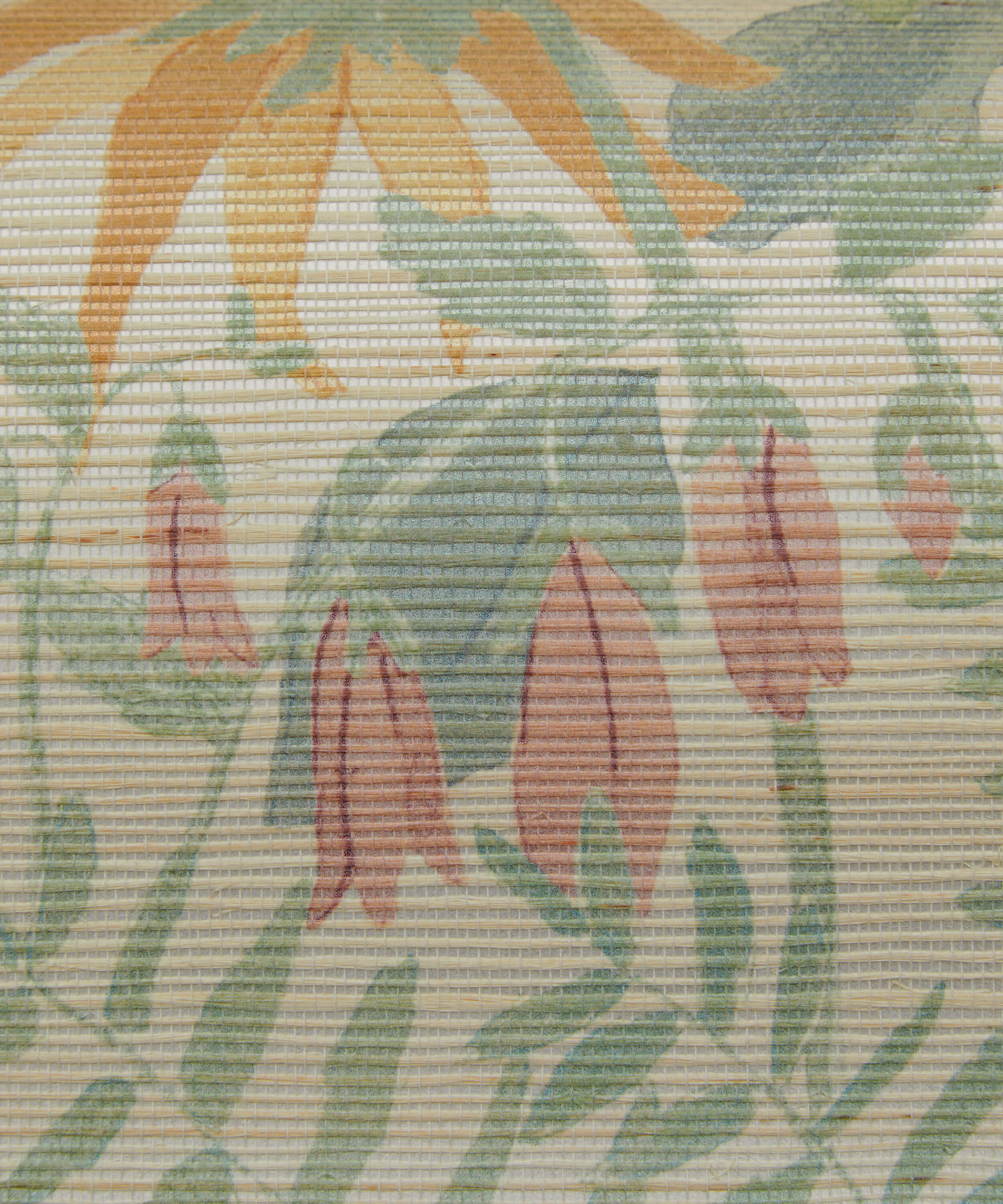 Liberty - Faria Flowers Salvia 