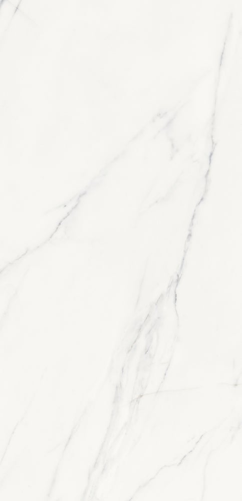 Polar Carrara 60x120 såg