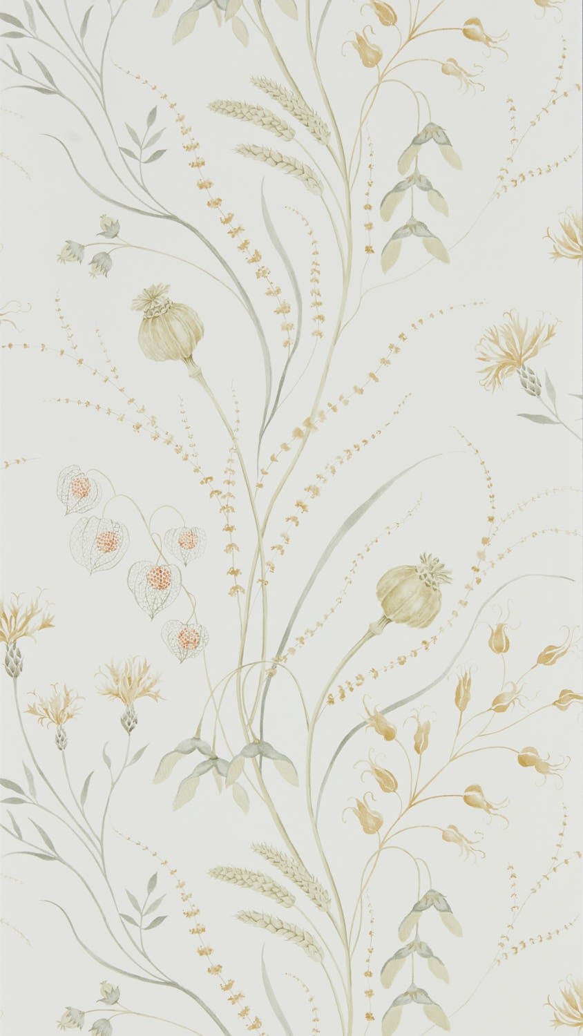 Sanderson - Summer Harvest Silver Cor Embleton Bay Wallpapers