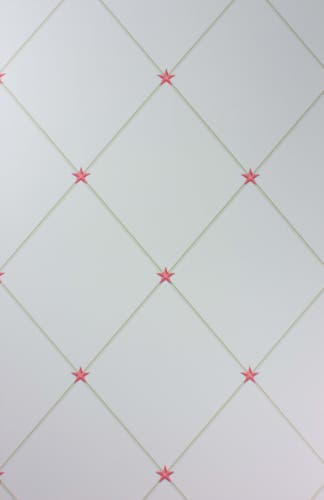 Nina Campbell - Torosay Coral/Ivory