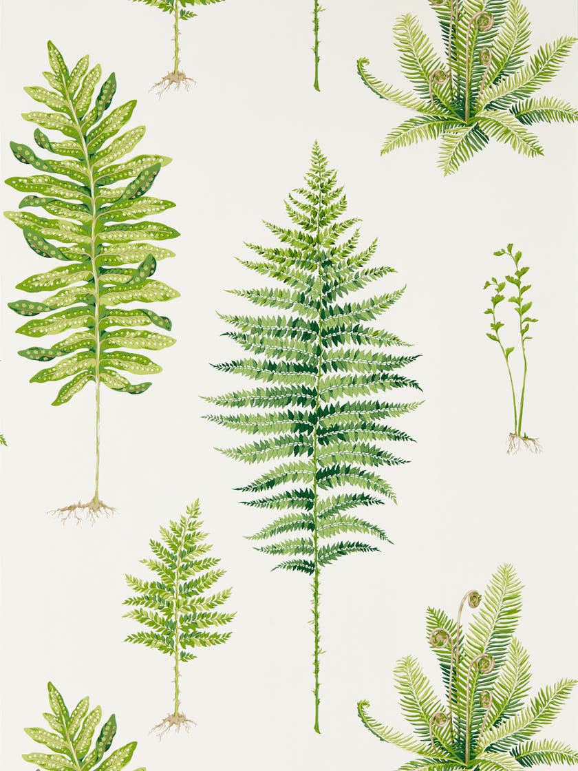Sanderson - Fernery Botanical Green Glasshouse Wallpapers