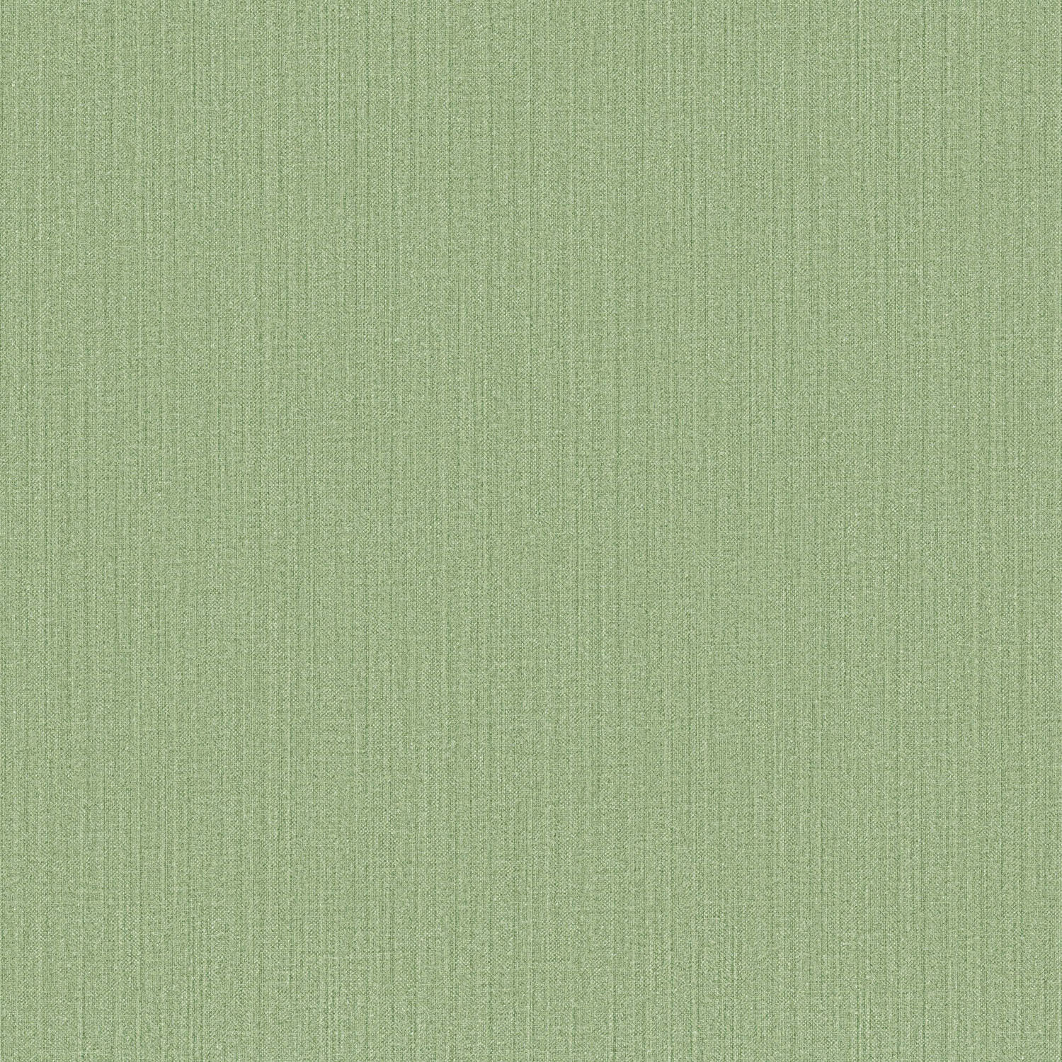 Carma - Blooming Garden