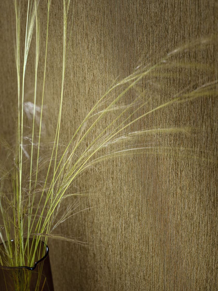 Casamance - Maurelii Kaki Le Bois