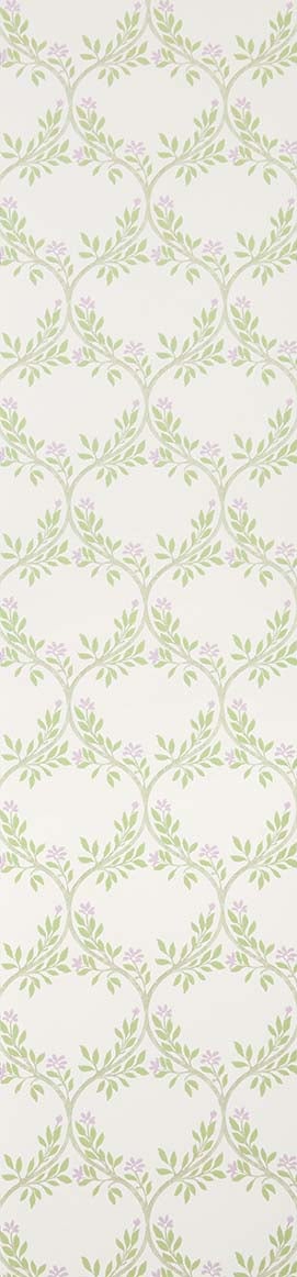 Nina Campbell - Arber Nc Signature Arber Sage/L