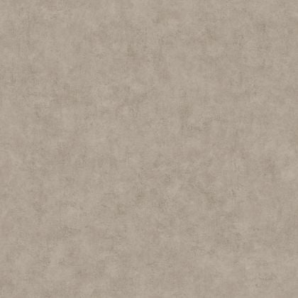Caselio - Beton Uni Taupe Chaud Beton 2