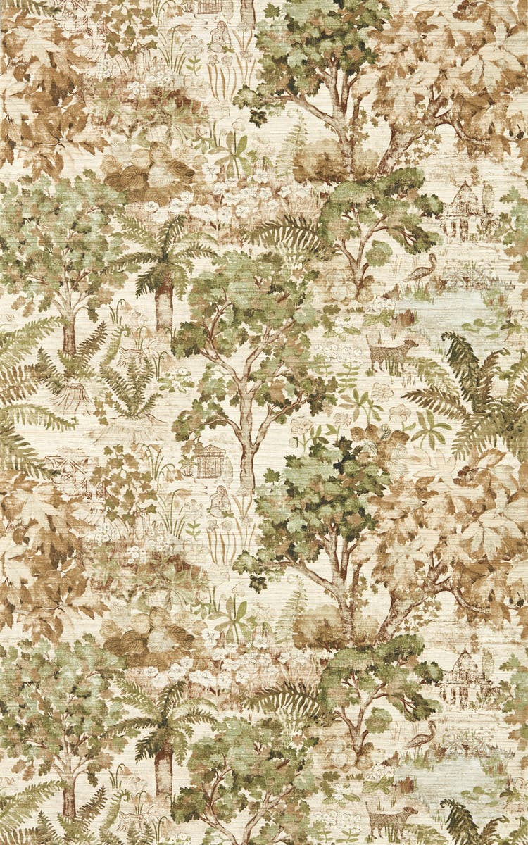 Sanderson - The Stumpery Lichen