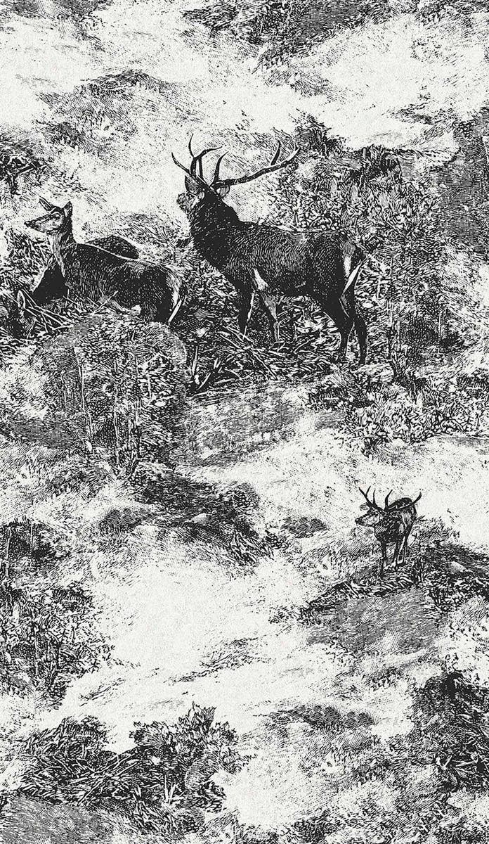 Carma - Sauvage 2