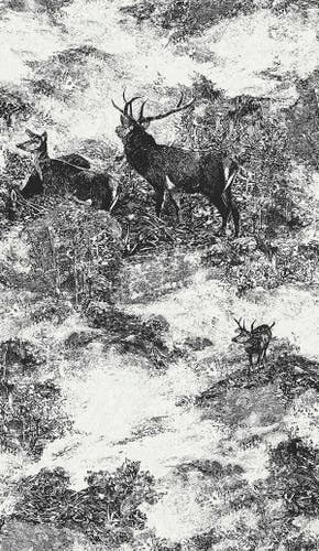 Carma - Sauvage 2