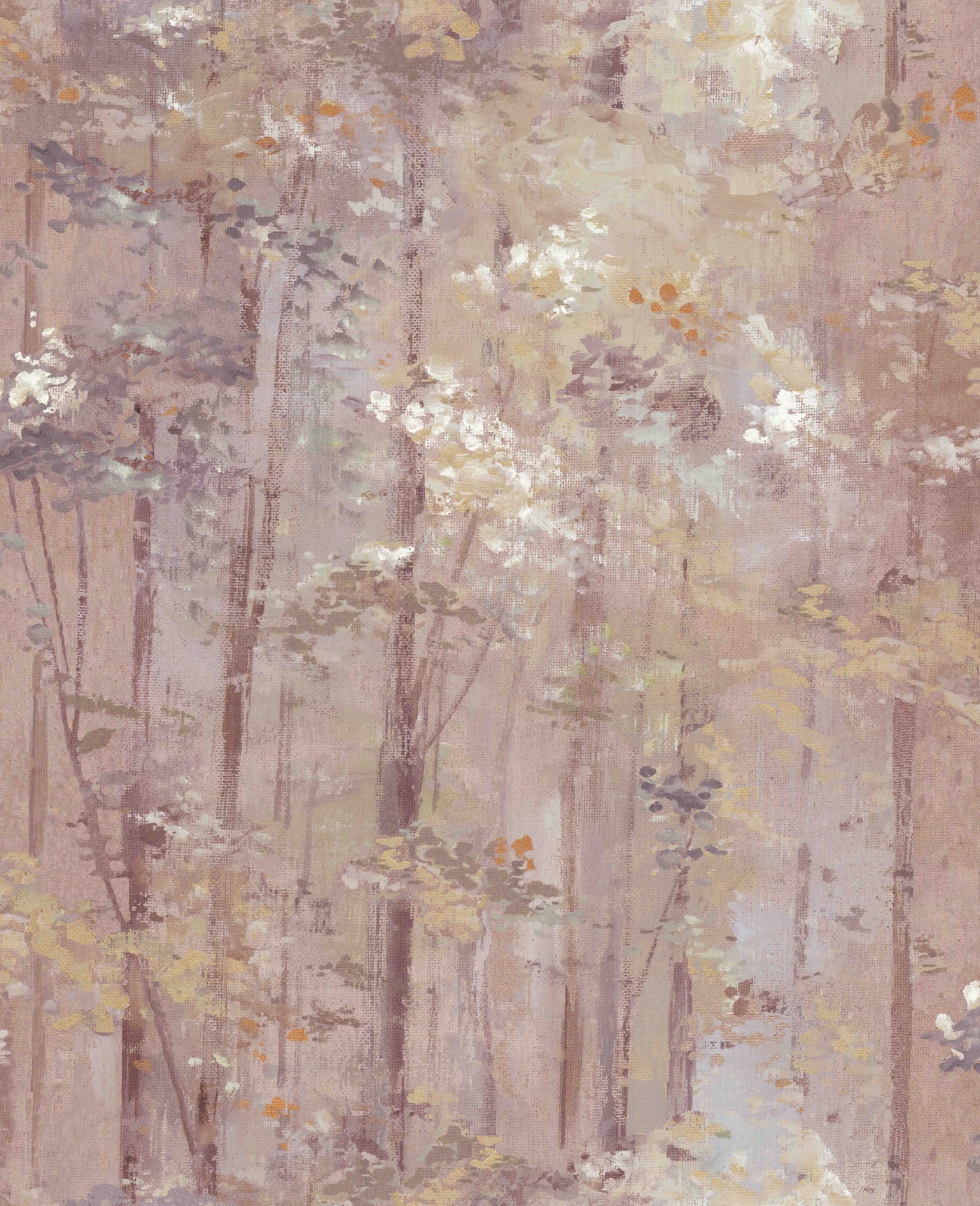 Carma - Glade Beach  NW Aurora