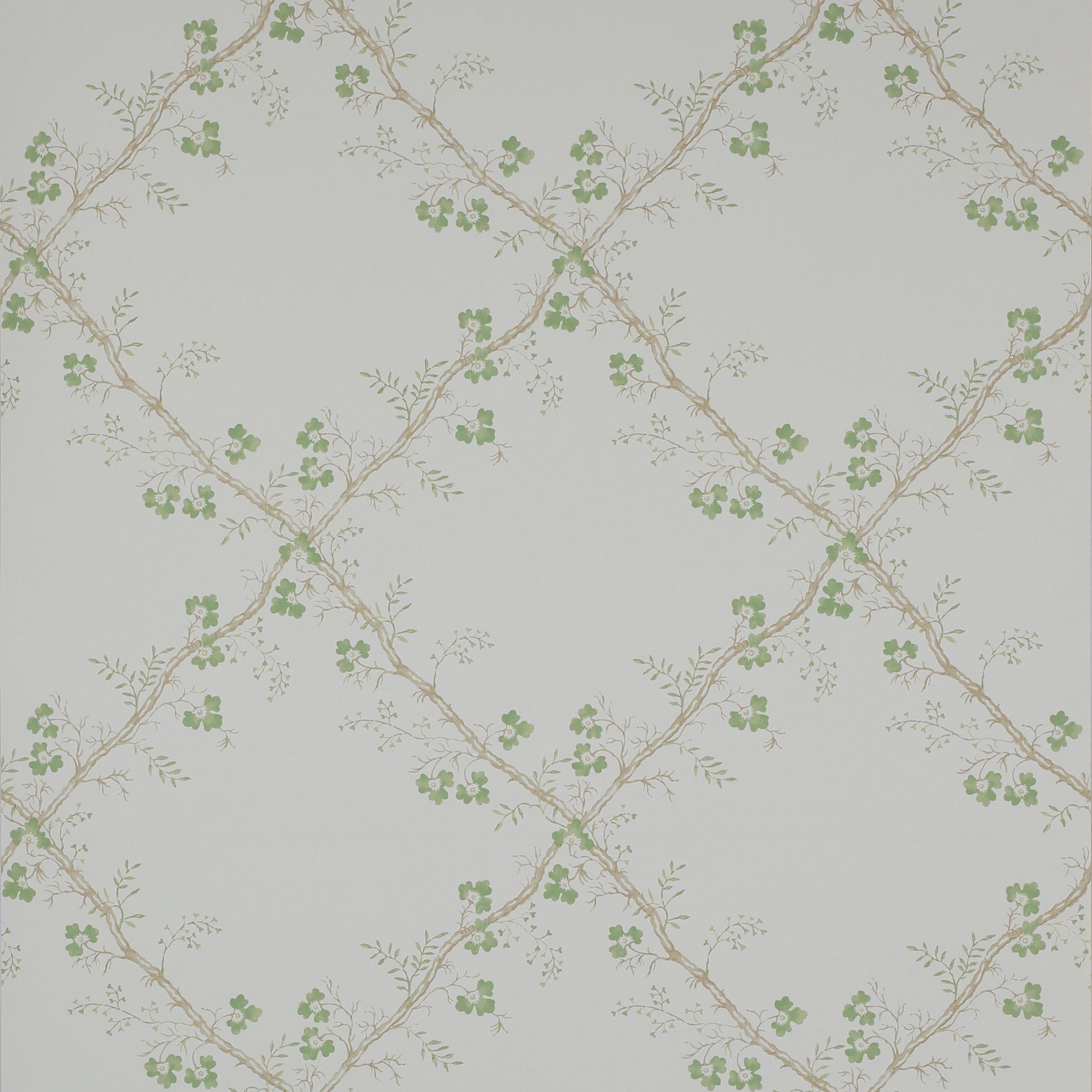 Colefax and Fowler - Trefoil Trellis Leaf