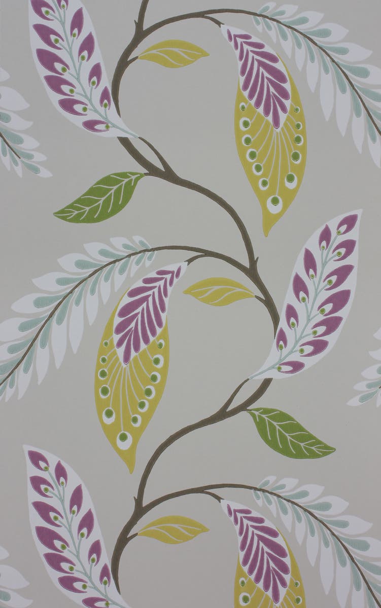 FONTIBRE NC FONTIBRE FONTIBRE AMET