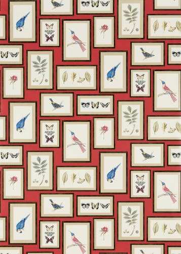 Sanderson - Picture Gallery Red/Multi Sanderson One Sixty Wallp
