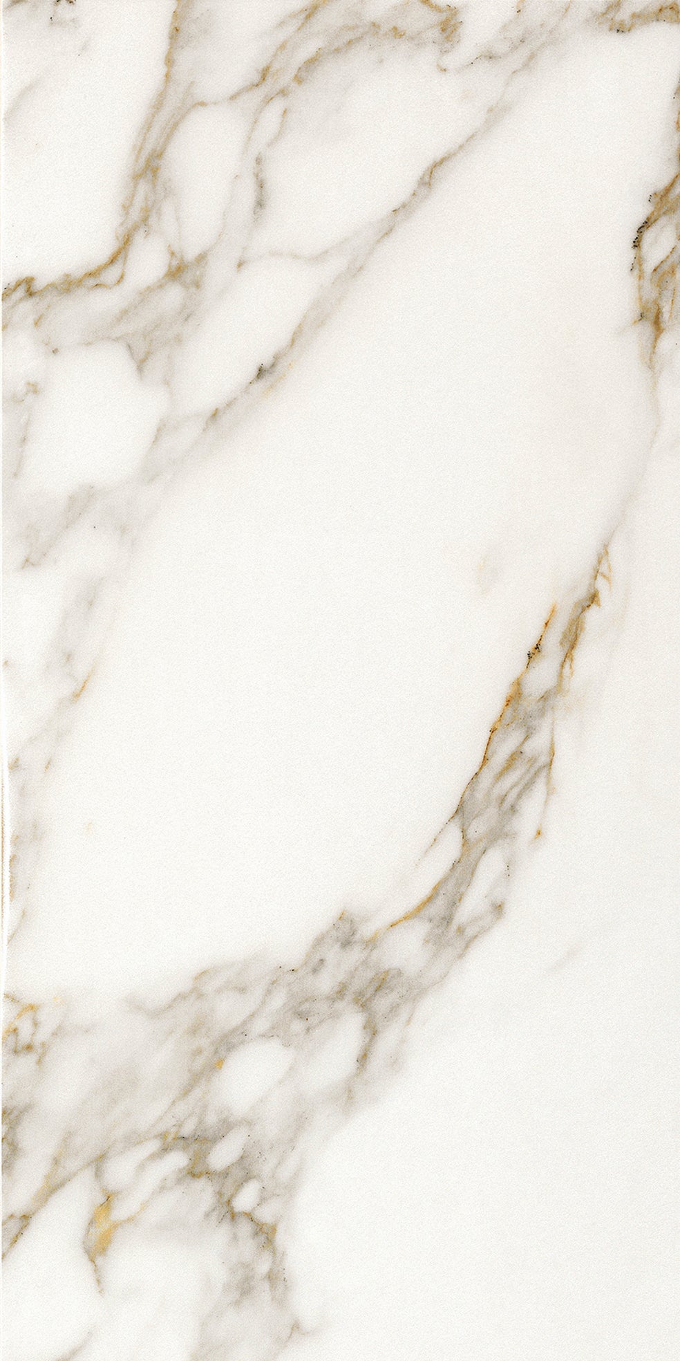 Invite Calacatta gold 30x60 såg