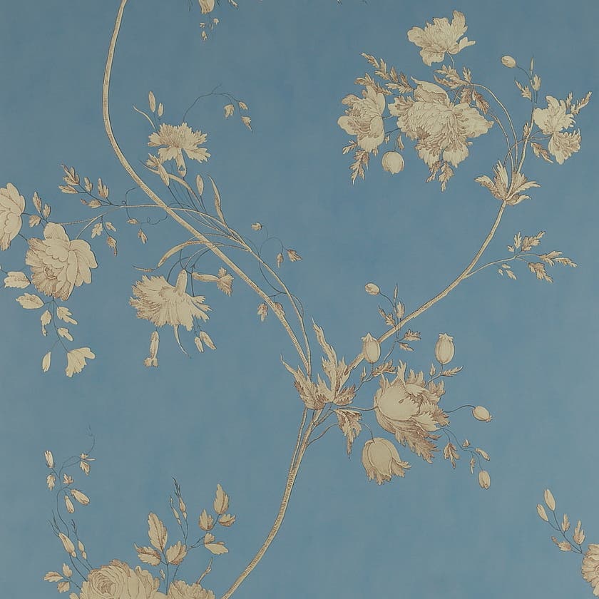 Darcy Old Blue