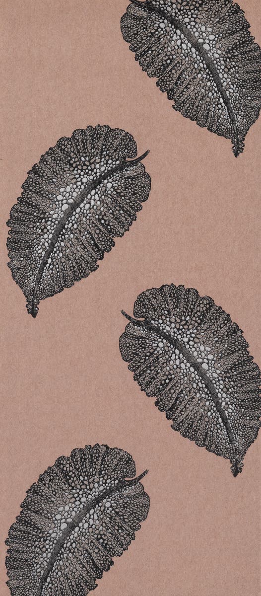 Osborne & Little - Paraggi Terracotta