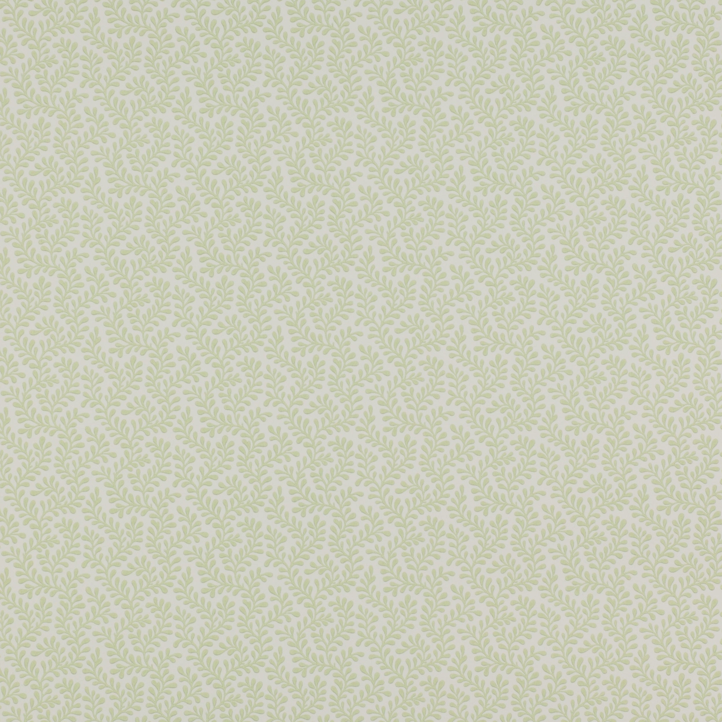 Colefax and Fowler - Rushmere Leaf