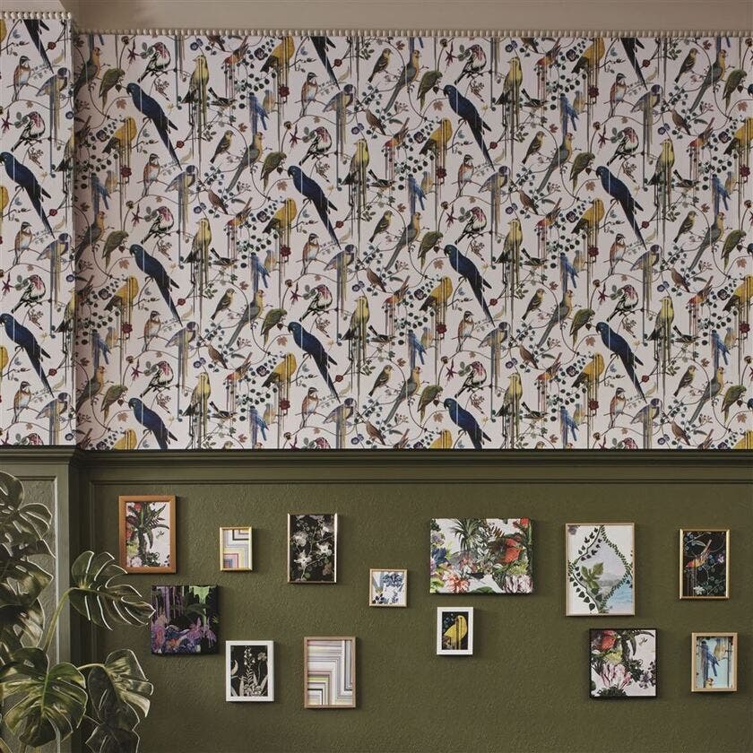 Birds Sinfonia Histoires Naturelles