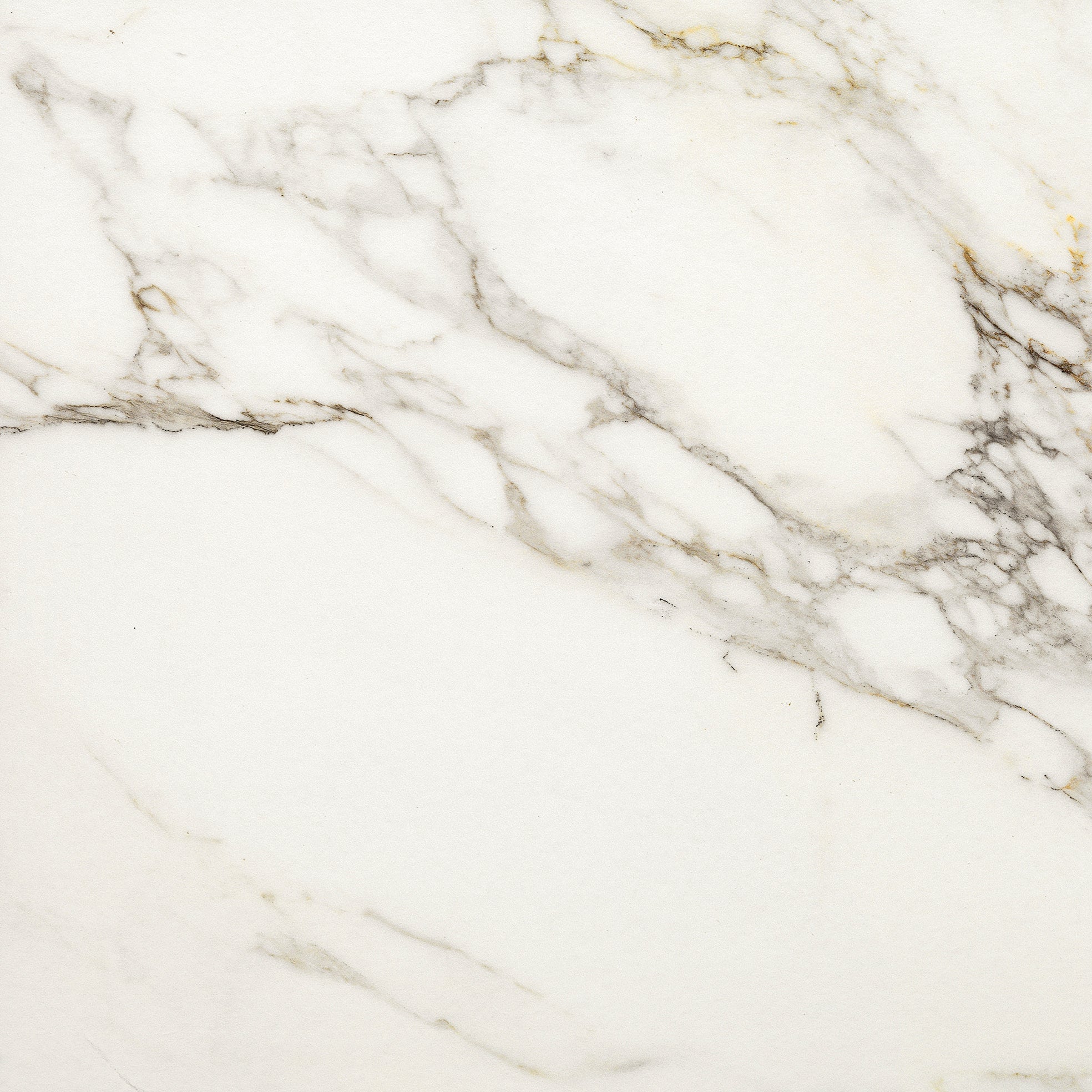 Invite Calacatta gold polerad 60x60 såg